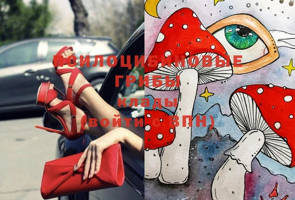 дживик Валуйки