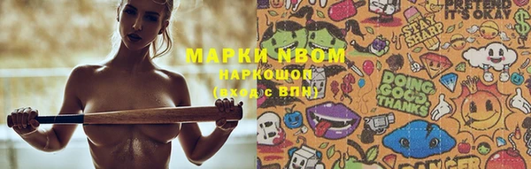 крисы Осинники