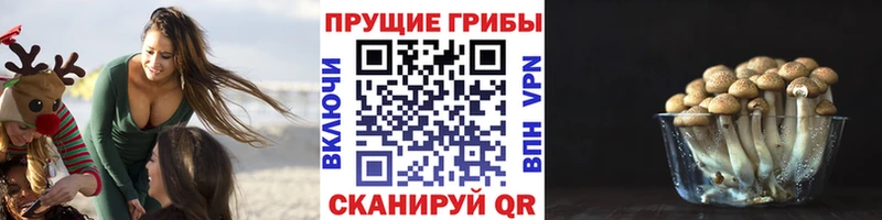Галлюциногенные грибы мицелий  купить наркоту  Ленск 